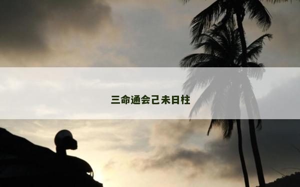 三命通会己未日柱