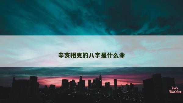 辛亥相克的八字是什么命