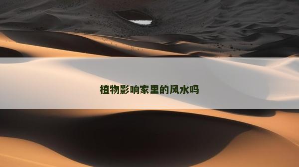 植物影响家里的风水吗