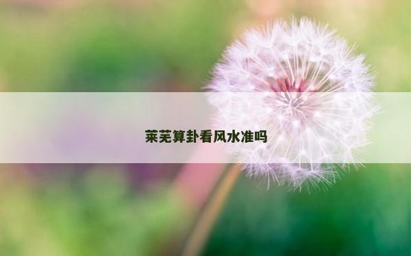 莱芜算卦看风水准吗