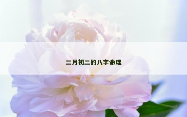 二月初二的八字命理