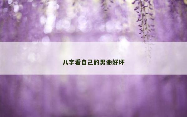 八字看自己的男命好坏