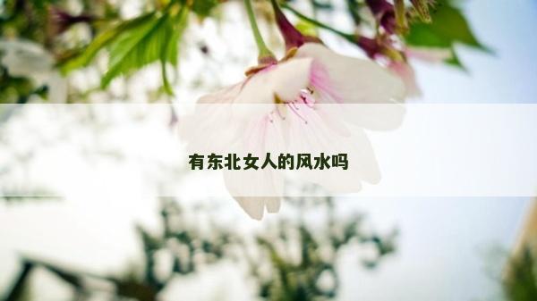 有东北女人的风水吗