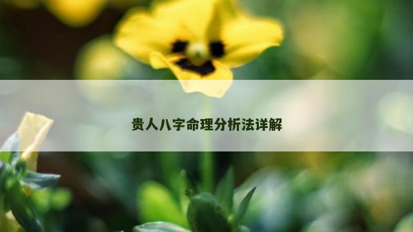 贵人八字命理分析法详解