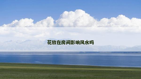 花放在房间影响风水吗
