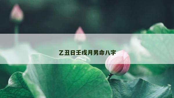 乙丑日壬戌月男命八字