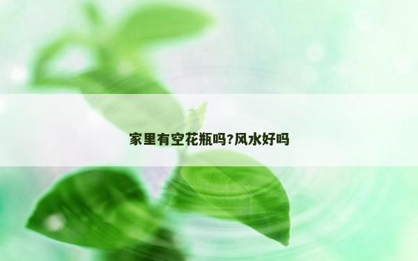 家里有空花瓶吗?风水好吗