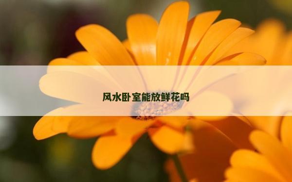 风水卧室能放鲜花吗