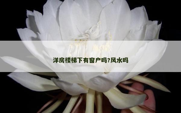 洋房楼梯下有窗户吗?风水吗