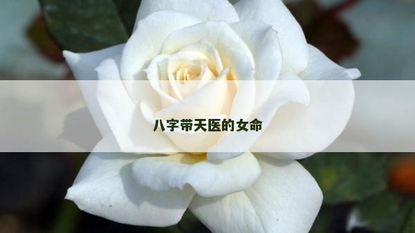 八字带天医的女命