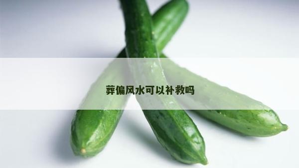 葬偏风水可以补救吗