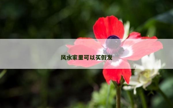 风水家里可以买假发