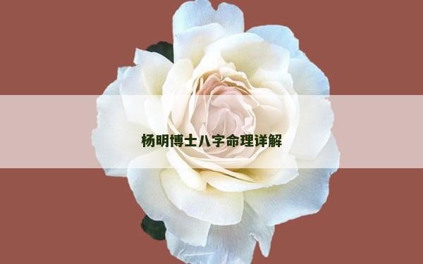 杨明博士八字命理详解