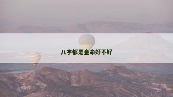 八字都是金命好不好