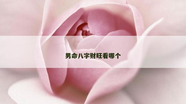 男命八字财旺看哪个
