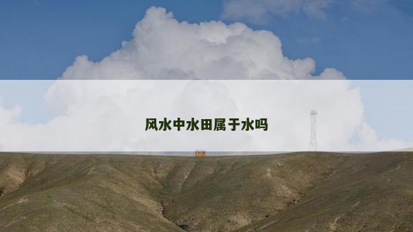 风水中水田属于水吗