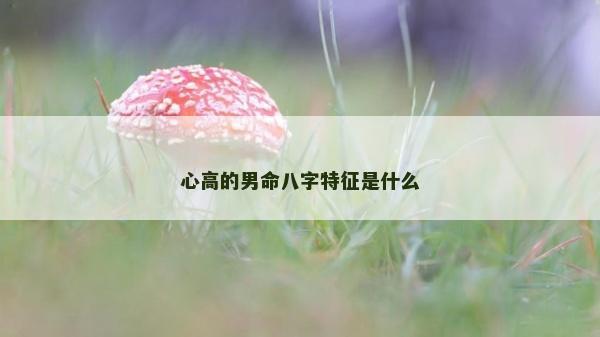 心高的男命八字特征是什么