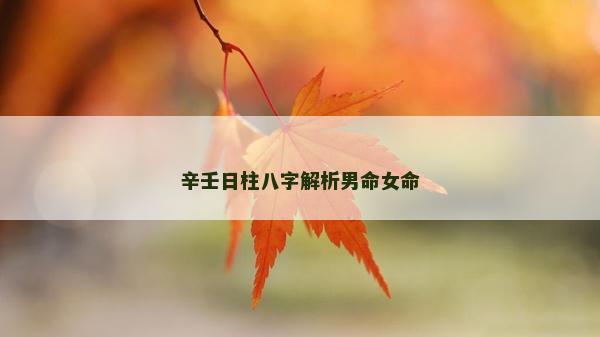 辛壬日柱八字解析男命女命