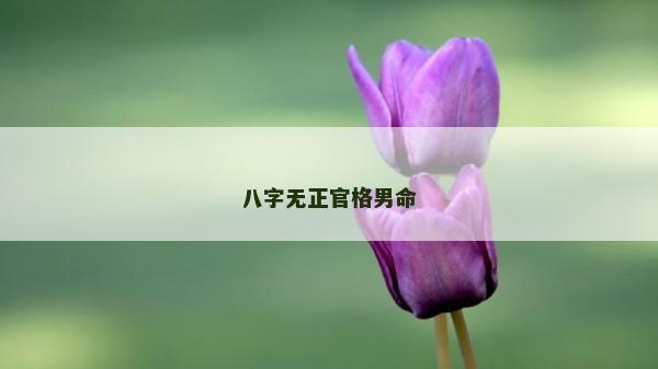 八字无正官格男命