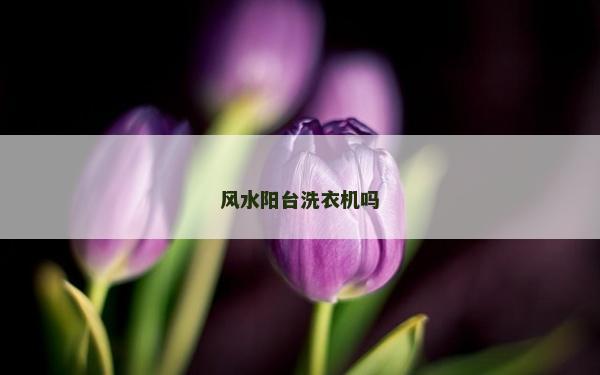 风水阳台洗衣机吗