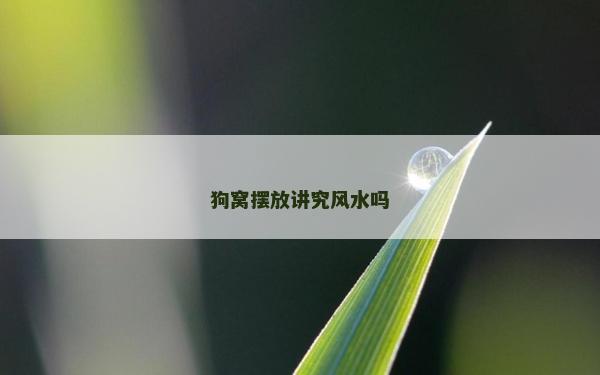 狗窝摆放讲究风水吗