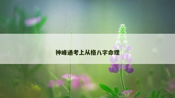 神峰通考上从格八字命理