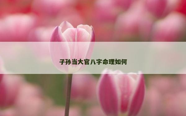 子孙当大官八字命理如何