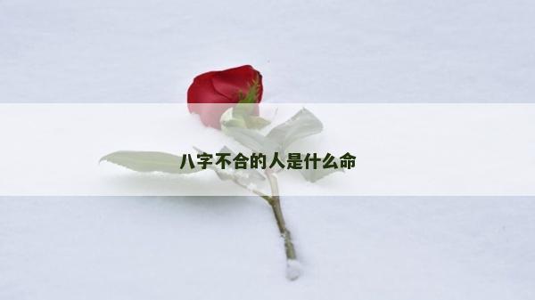 八字不合的人是什么命