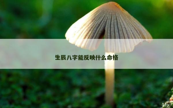 生辰八字能反映什么命格