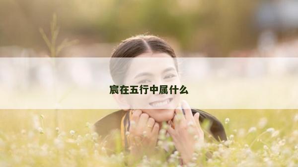 宸在五行中属什么