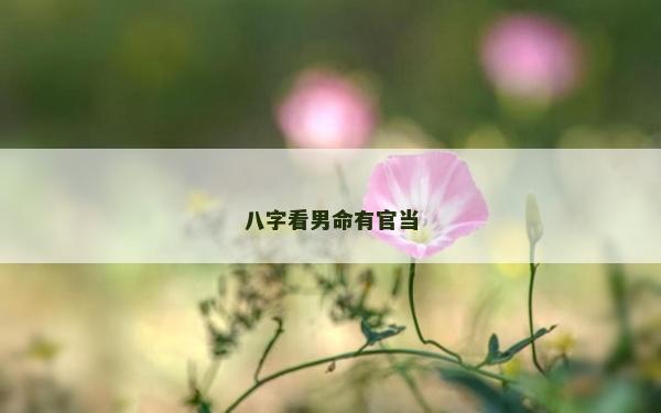 八字看男命有官当