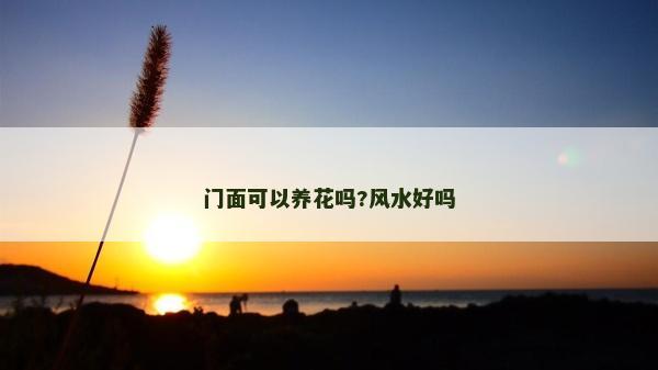 门面可以养花吗?风水好吗