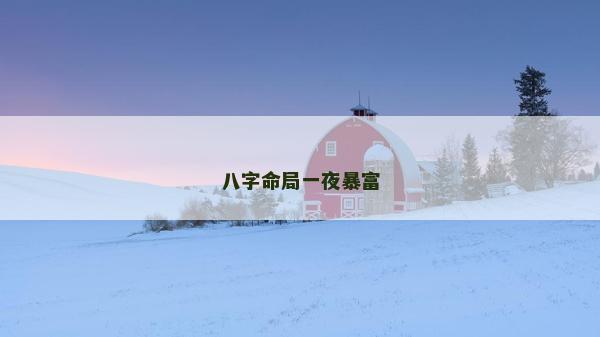 八字命局一夜暴富