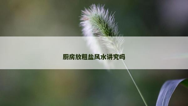 厨房放粗盐风水讲究吗