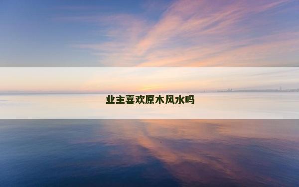 业主喜欢原木风水吗