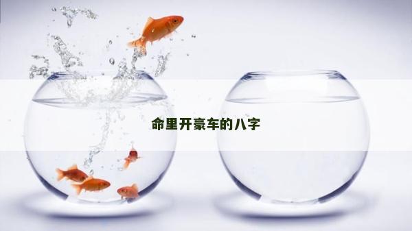 命里开豪车的八字