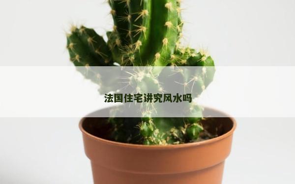 法国住宅讲究风水吗