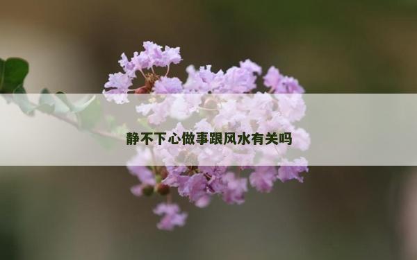 静不下心做事跟风水有关吗