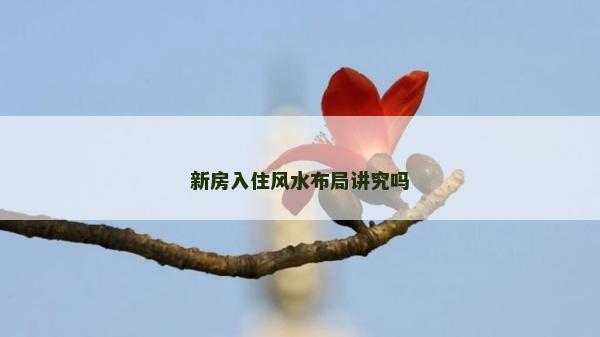 新房入住风水布局讲究吗