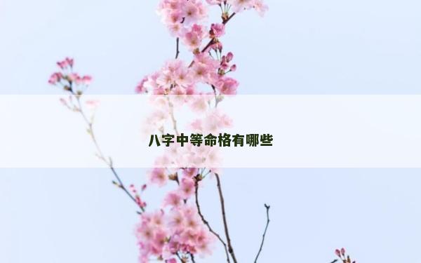 八字中等命格有哪些