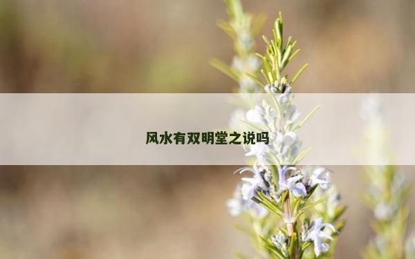 风水有双明堂之说吗