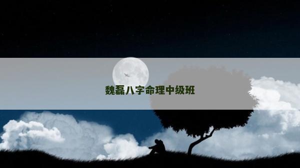 魏磊八字命理中级班