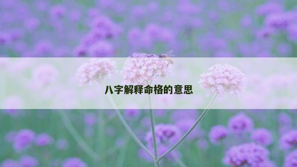 八字解释命格的意思