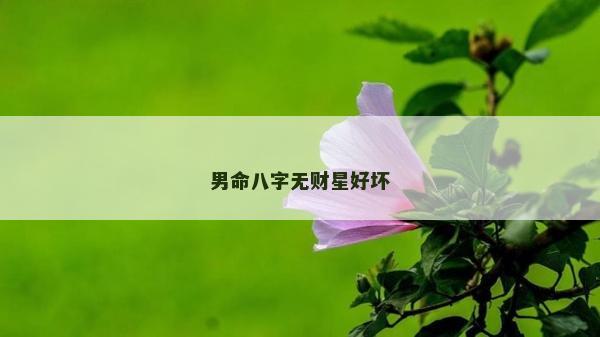 男命八字无财星好坏