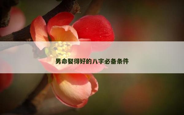 男命娶得好的八字必备条件