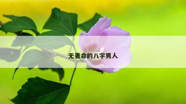 无妻命的八字男人