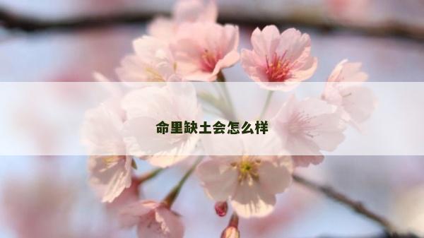命里缺土会怎么样