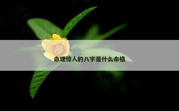 命理惊人的八字是什么命格