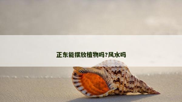 正东能摆放植物吗?风水吗