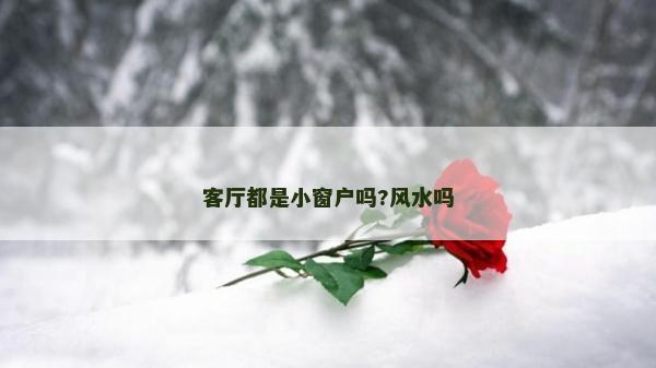 客厅都是小窗户吗?风水吗